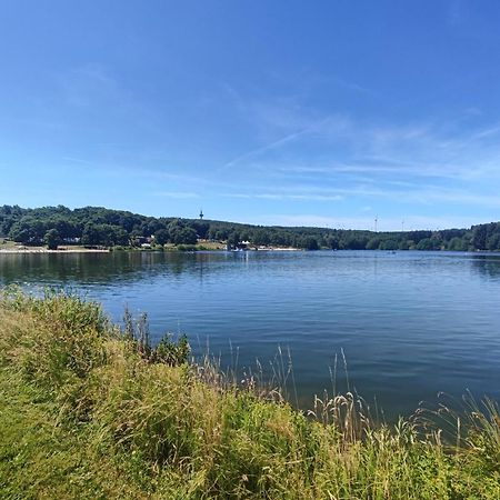 Ferienwohnung Zum Rosengarten West015 Westerwald Driedorf Екстериор снимка