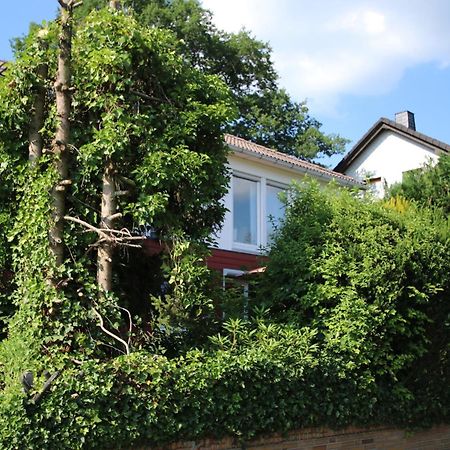 Ferienwohnung Zum Rosengarten West015 Westerwald Driedorf Екстериор снимка
